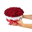 Box of red roses